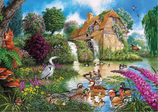 Puzzle Flora e Fauna di GIBSONS 4x500 pezzi