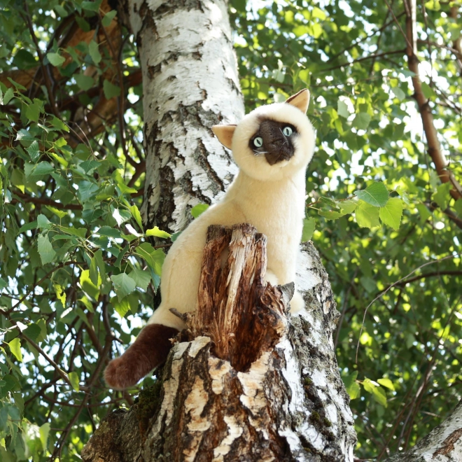 Gatto Siamese Peluche 30 cm ECO-FRIENDLY