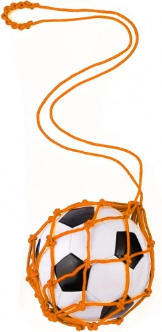 Allenatore di calcio