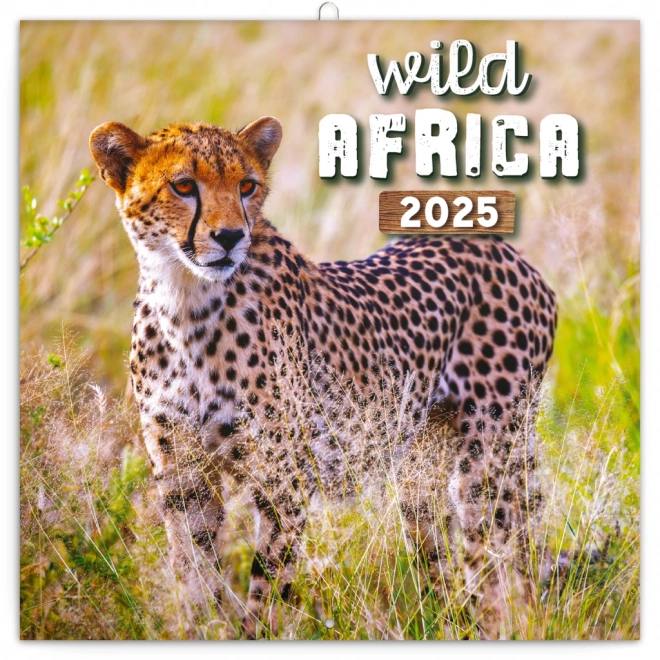 Calendario da parete Divoká Afrika 2025