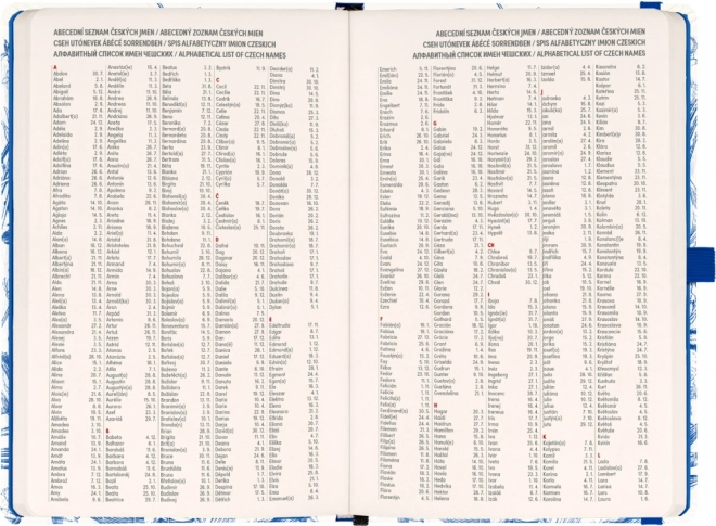 Agenda settimanale porcellana 2025