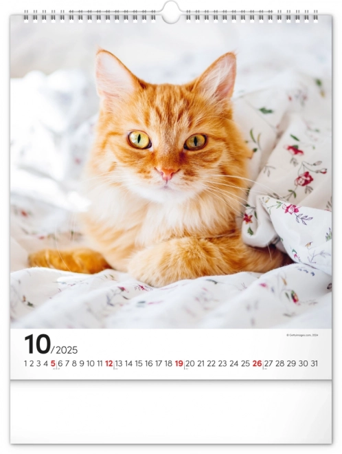 Calendario da parete Gatti 2025