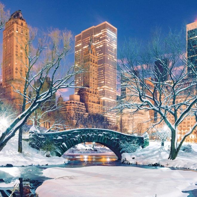 Calendario per appunti New York 2026