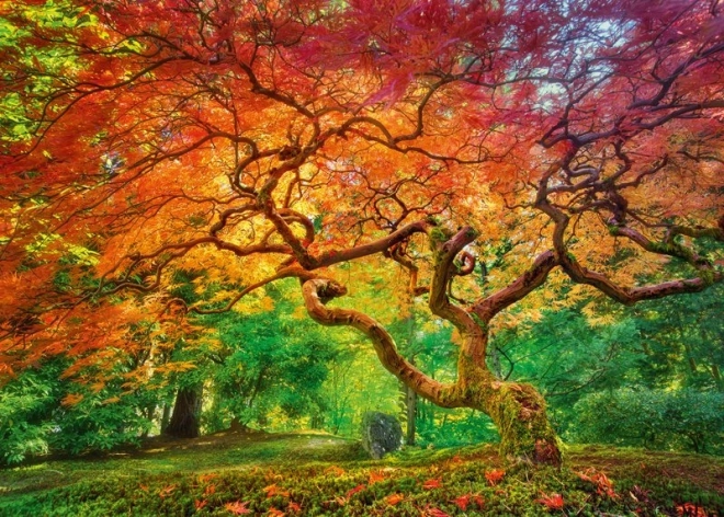 Puzzle L'Albero Della Vita 1000 Pezzi