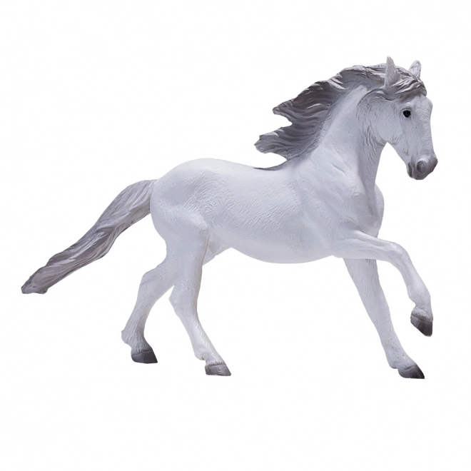 Cavallo Lusitano Bianco Mojo