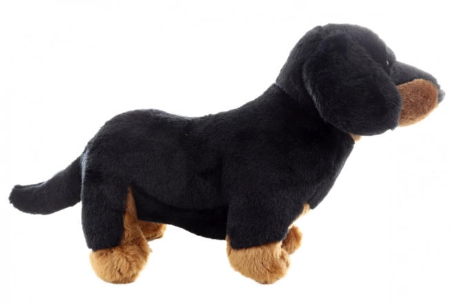 Cane Bassotto in Peluche 30 cm Eco-Friendly