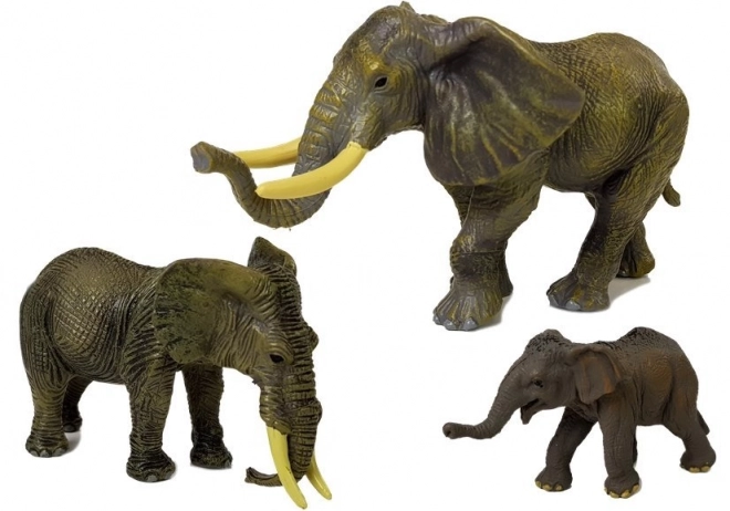 Set di figurine Animali Safari Elefanti e Tigri