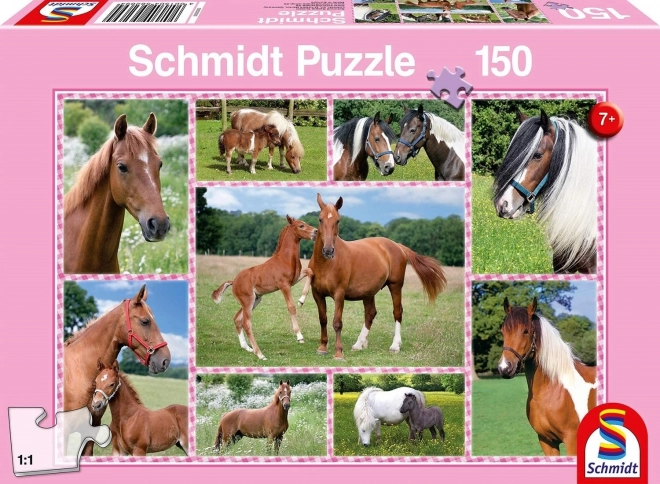 Puzzle Cavalli Magnifici 150 pezzi