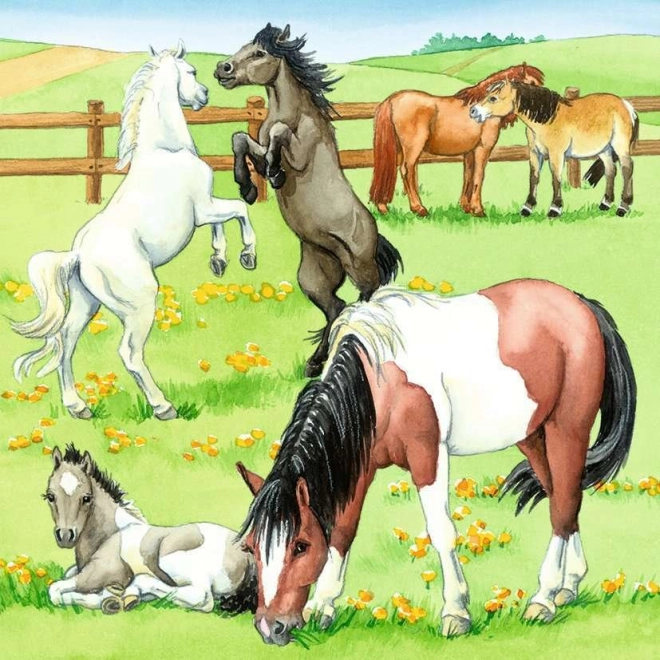Bellissimo pascolo pieno di cavalli