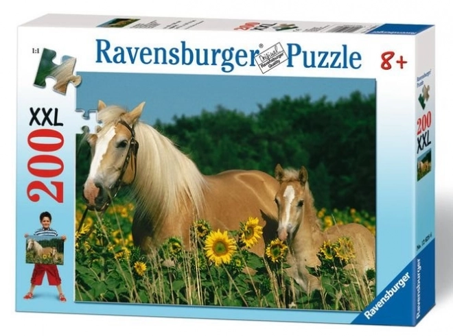 Puzzle XXL Fortunello dei cavalli