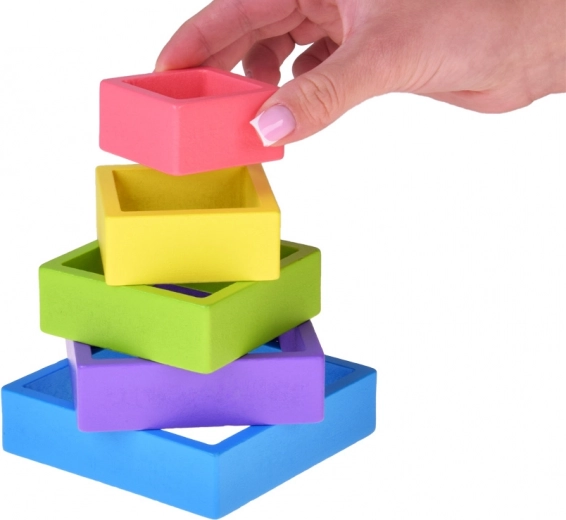 Insegna colori, forme e dimensioni