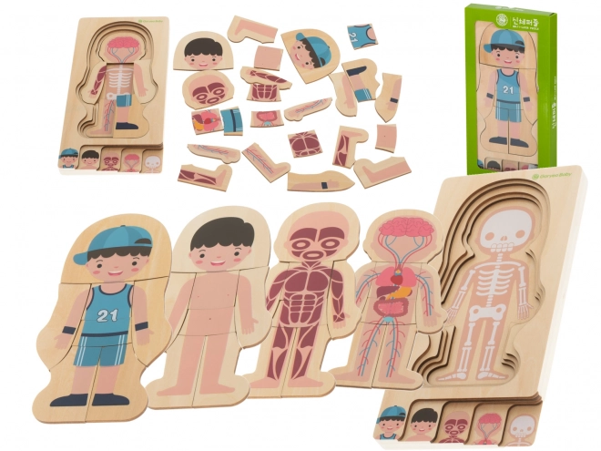 Puzzle in legno a strati costruzione del corpo Montessori bambino