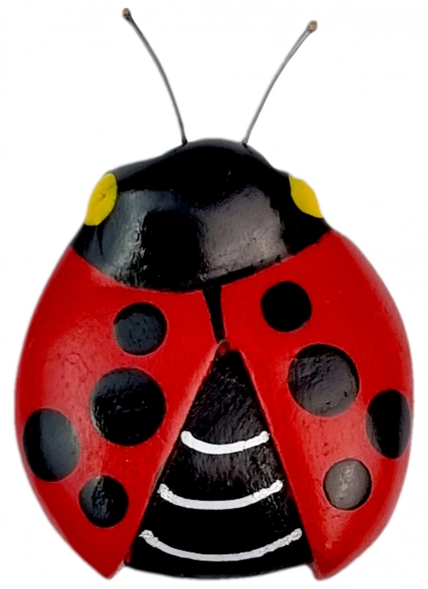 Magnete Decorativo in Legno Coccinella