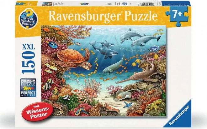 Puzzle Sottomarino XXL 150 pezzi