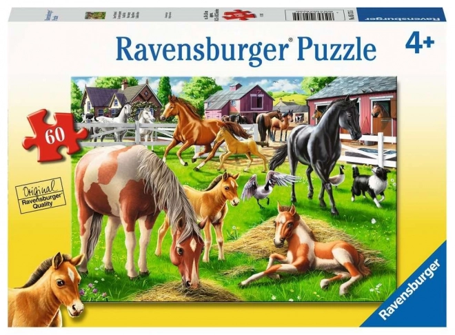 Puzzle Happy Horses Ravensburger 60 pezzi