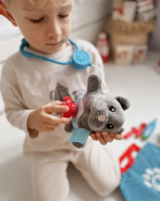 Set veterinario per bambini con gatto e borsa
