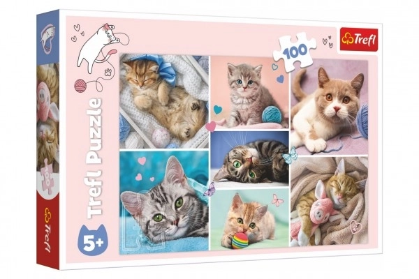 Puzzle nel Mondo dei Gatti 100 Pezzi