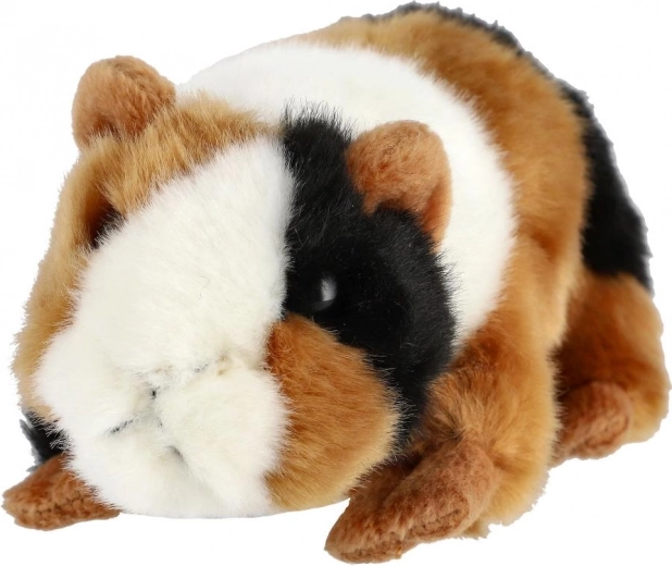 Realistica colorazione tricolore