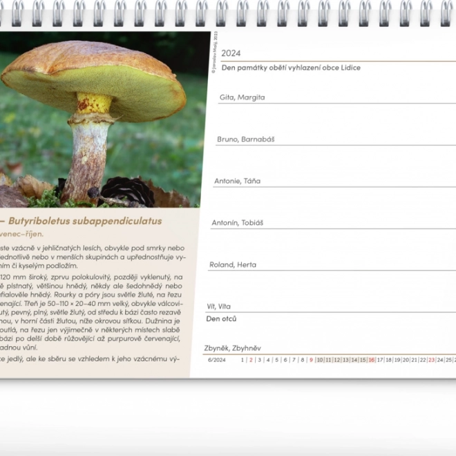 Calendario da tavolo Funghi 2026