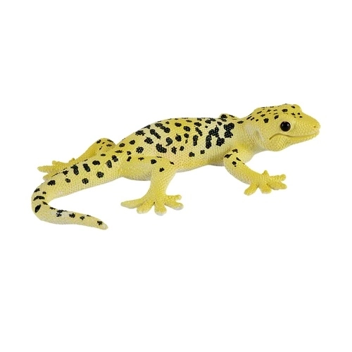 Geko Leopardo Notturno Mojo