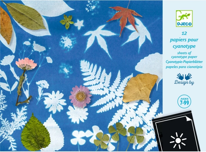 Set di carte fotosensibili DJECO