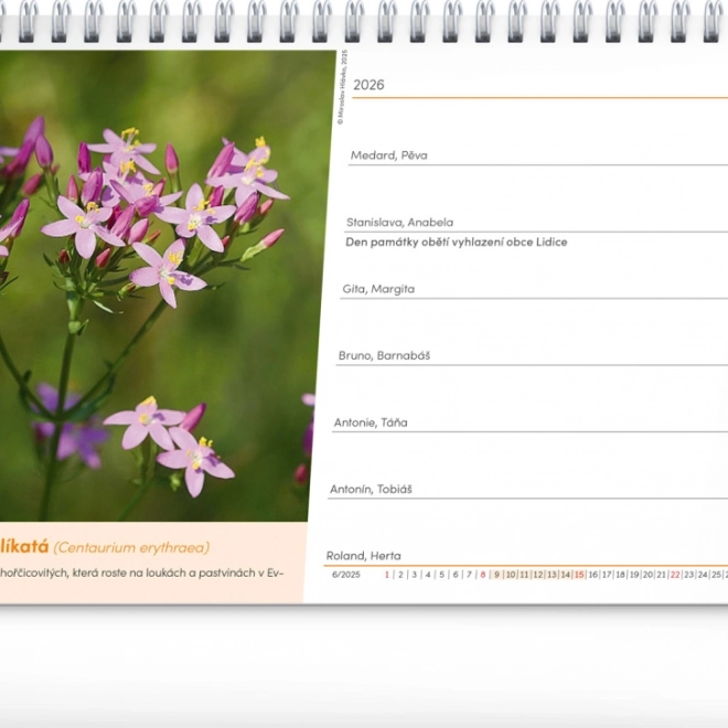 Calendario da tavolo Farmacia Naturale 2026