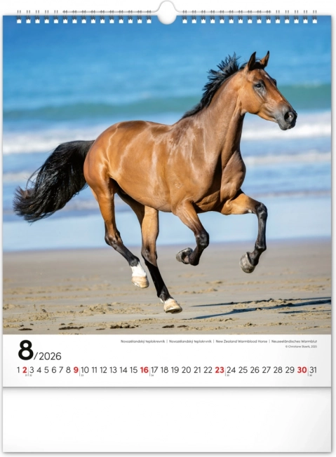 Calendario da parete cavalli 2026