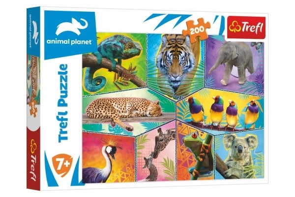 Puzzle TREFL Animal Planet: Il mondo degli animali esotici 200 pezzi