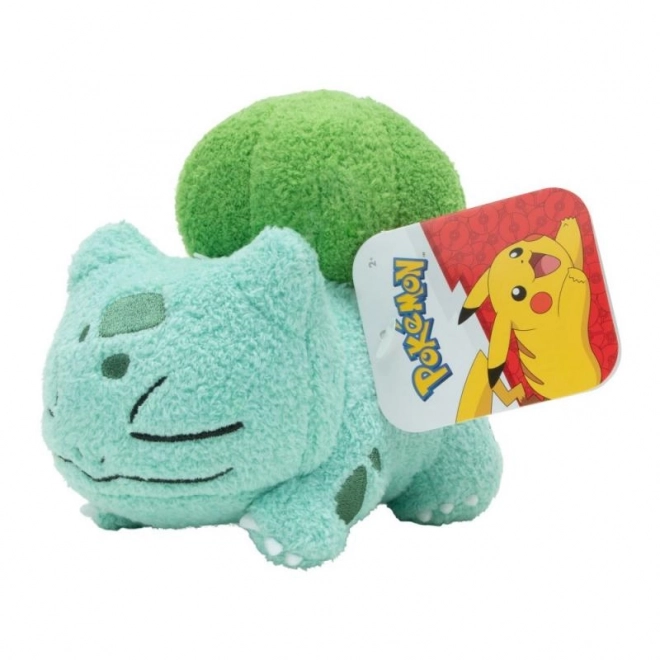 Pokémon peluche dormienti