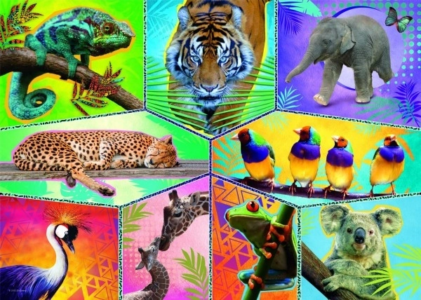 Puzzle TREFL Animal Planet: Il mondo degli animali esotici 200 pezzi