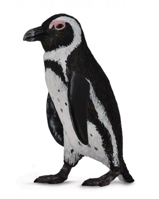 Pinguino Collecta