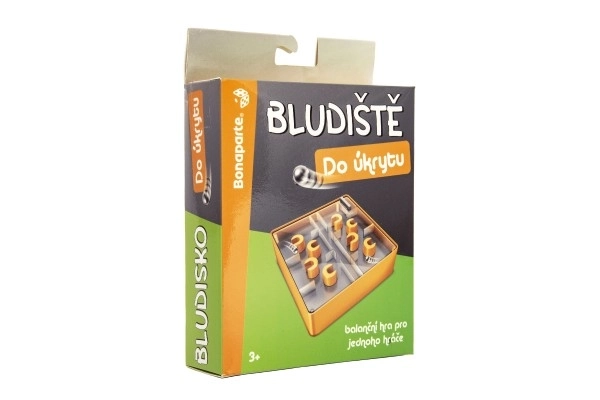 Gioco di bilanciamento per un giocatore - Nel rifugio