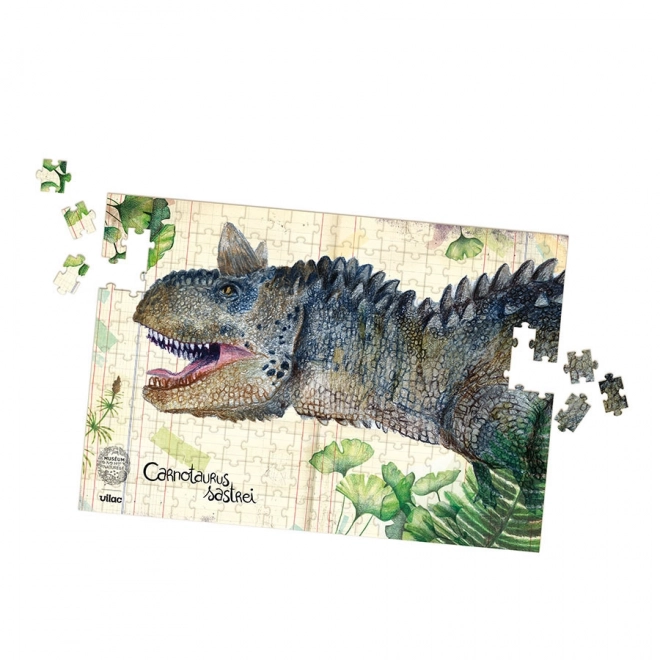 Vilac set di 3 puzzle dei dinosauri