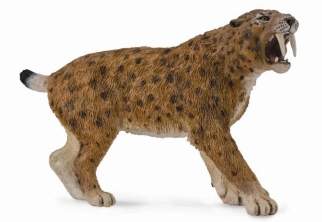 Collezione Smilodon