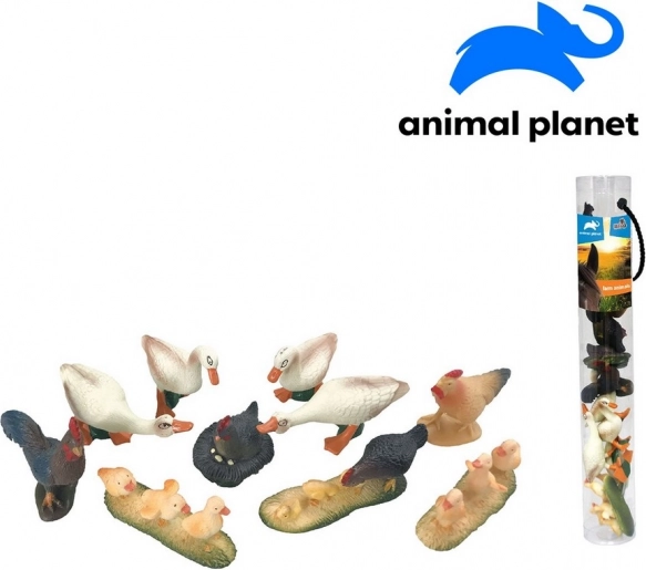 Animali della fattoria con applicazione AR