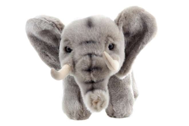 Elefante di Peluche 30 cm