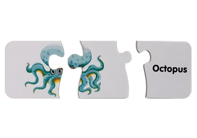 Puzzle educativi mondo oceanico