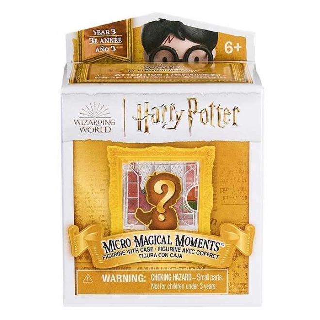 Figura Harry Potter in Cornice