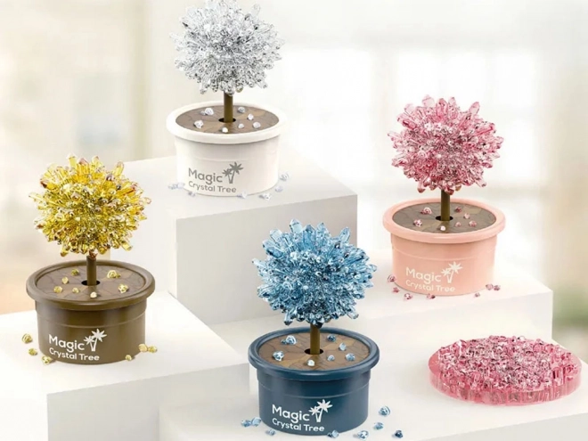 Set per crescere un albero di cristallo della felicità