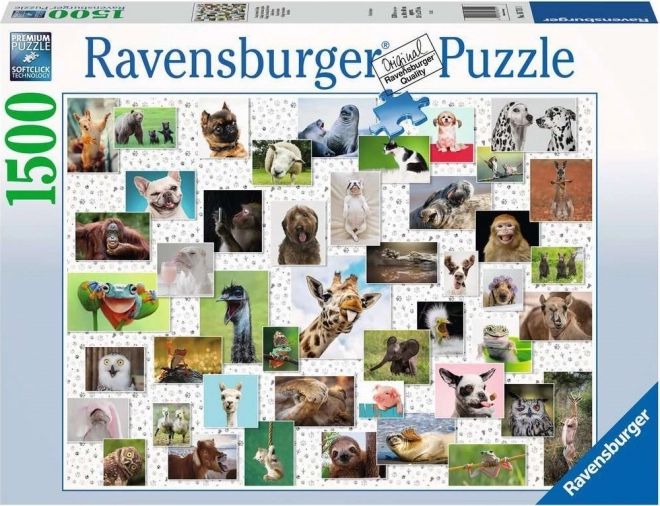 Puzzle 1500 pezzi Animali Divertenti Ravensburger