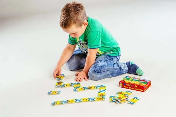 Domino animali in legno - il mio primo gioco