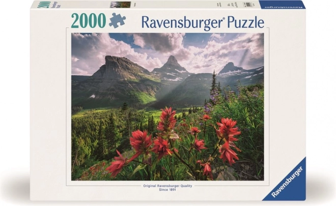 Puzzle Panorama Ravensburger 2000 pezzi