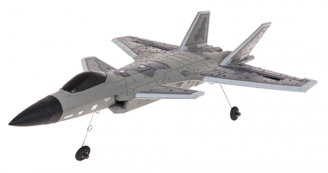 Jet da combattimento RAPTOR-J20 R/C