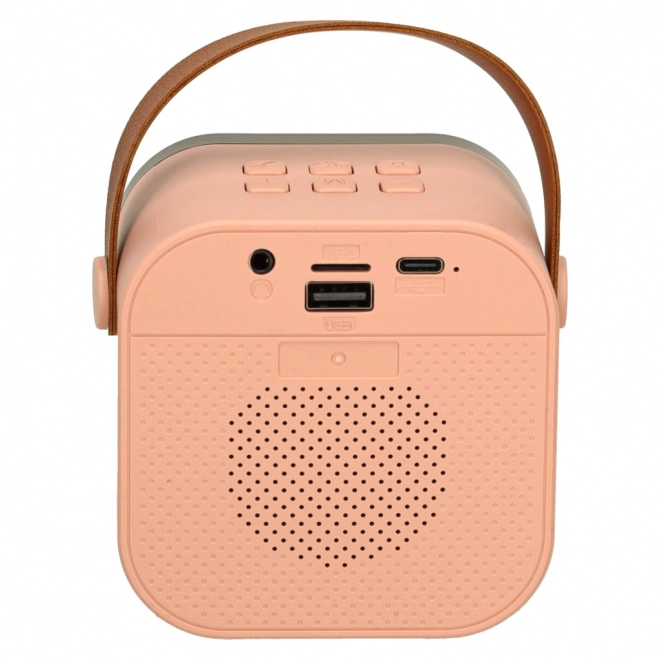 Set Karaoke con Microfono e Altoparlante Portatile Bluetooth USB LED Rosa