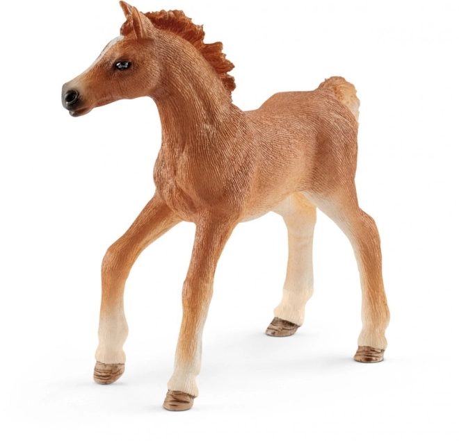 Figura realistica del cavallo