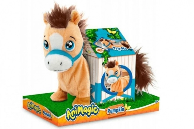 Animagic - Pumpkin il pony