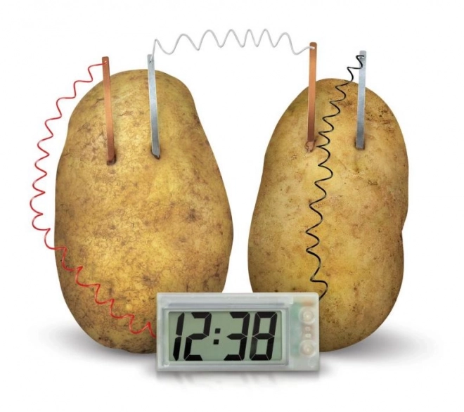 Orologio a patate 4M