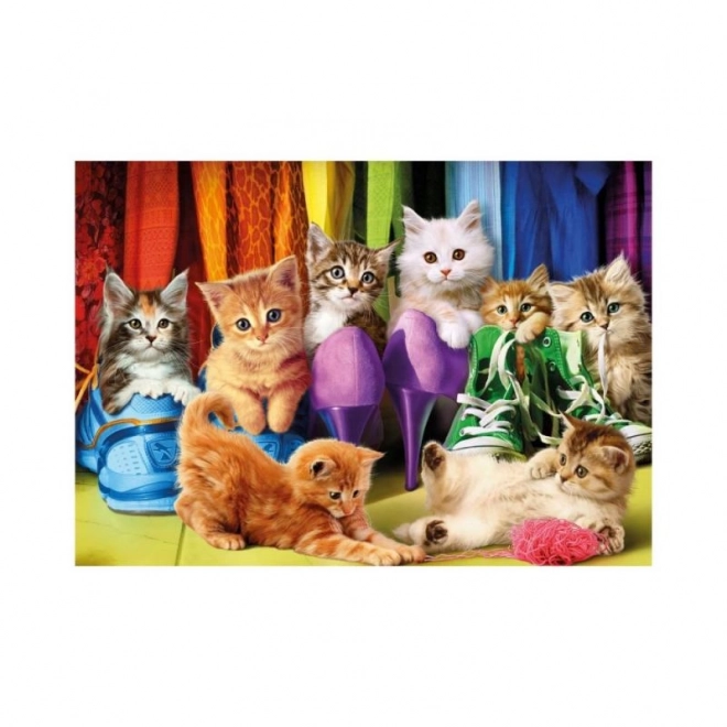 Puzzle gattini colorati XL 300 pezzi