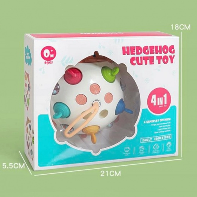 Giocattolo sensoriale riccio 4 in 1