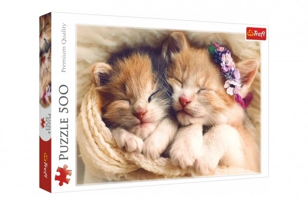 Puzzle Gattini Addormentati 500 Pezzi